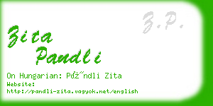 zita pandli business card